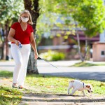 Concerns over pet welfare crisis due to high demand for ‘pandemic puppies’ Untitled