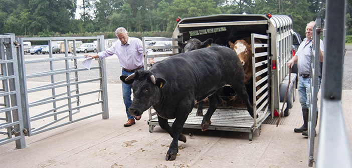 NFU launches new welfare in transport guidance
