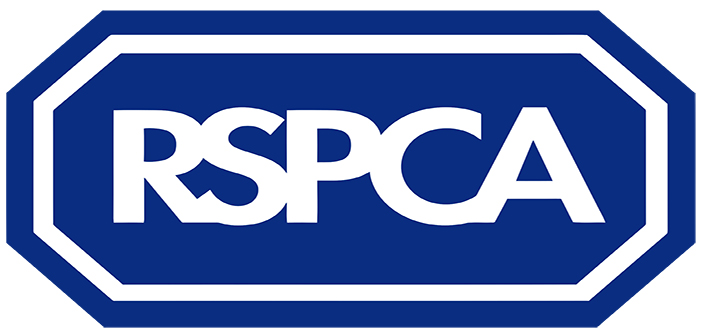 RSPCA celebrates first anniversary of its bold strategy launch