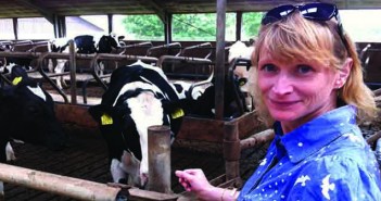 Are bagged minerals in winter diets accurate enough for optimum performance? Animax - Dr Elizabeth Berry