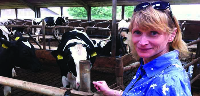 Are bagged minerals in winter diets accurate enough for optimum performance?