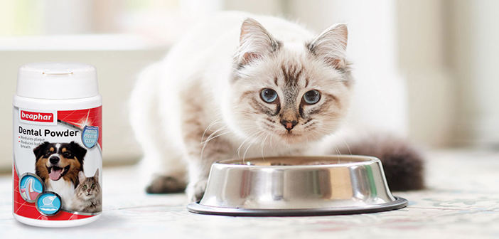 Beaphar Dental Powder, the natural, no-brush solution for healthy teeth