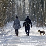 couple in the winter woods on a walk with the dog