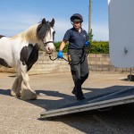 Equine welfare charity celebrates a record-breaking year Loading to leave WHW_World Horse Welfare