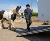 Equine welfare charity celebrates a record-breaking year