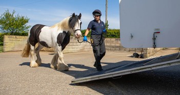 Equine welfare charity celebrates a record-breaking year Loading to leave WHW_World Horse Welfare