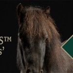 Vet practice applauds Spillers Slimmers’ Club The Spillers Slimmers' Club
