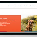 Vital Pet Group launches Retail Academy to support pet specialists Vital Retail Academy