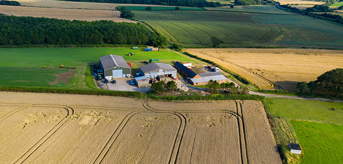 Increasing building material costs impacts insurance