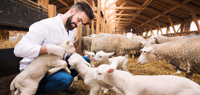 Join RoSA and get three months free