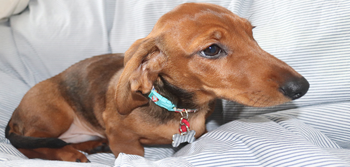 Fill in our survey to win a £200 Amazon voucher