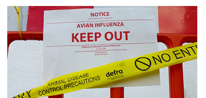 Chief Vet urges bird keepers to maintain scrupulous biosecurity standards as housing measures lifted