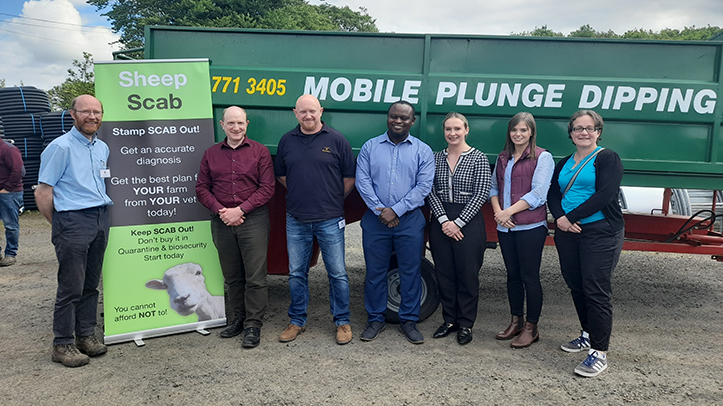 Moredun leads a £220,000 Sheep Scab Control project in Northern Ireland