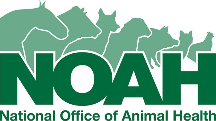 NOAH launches Strategic Plan and announces new board leadership