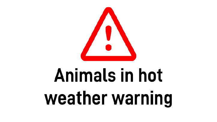 BVA issues urgent heatwave advice as temperatures set to rival 2018 record