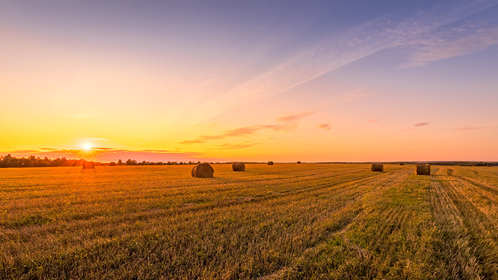 Support for farmer on dry weather impacts