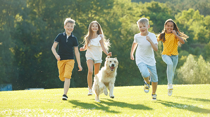 Keeping safe around dogs this summer