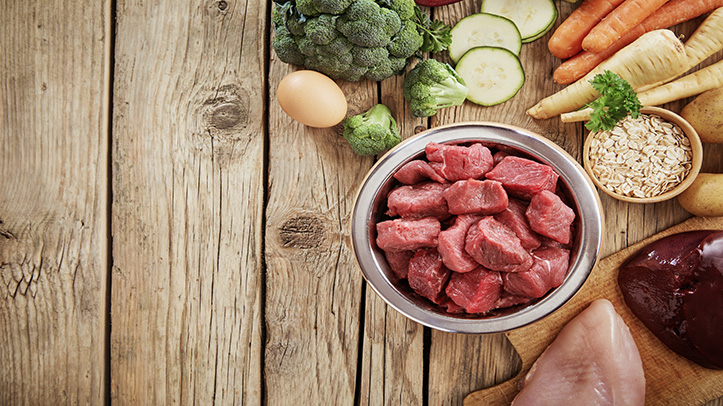 Feeding dogs raw meat associated with increased presence of antibiotic-resistant bacteria