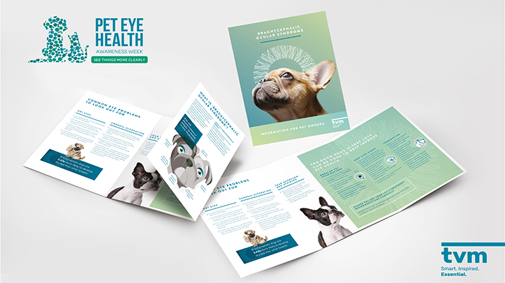Pet Eye Health Awareness Week returns next month