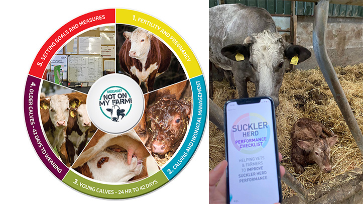 New Suckler Herd Performance app from MSD Animal Health