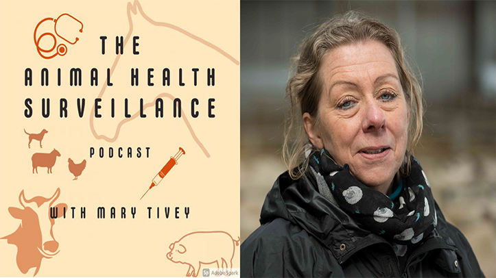 SCOPS contributes to the Animal Health Surveillance podcast