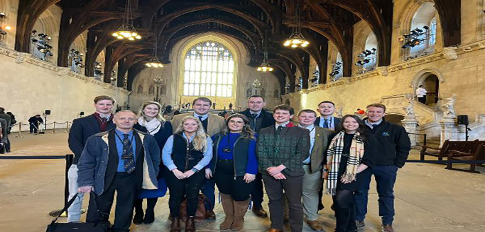 Next generation of sheep farmers consider the UK’s farming future during NSA visit to Westminster