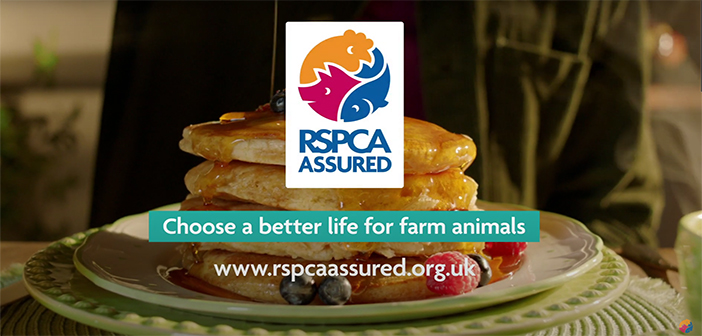 RSPCA Assured TV ad calls for public to support hen welfare this Pancake Day