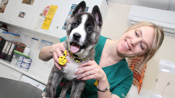 Dog Friendly Clinic scheme provides positive visits for pets