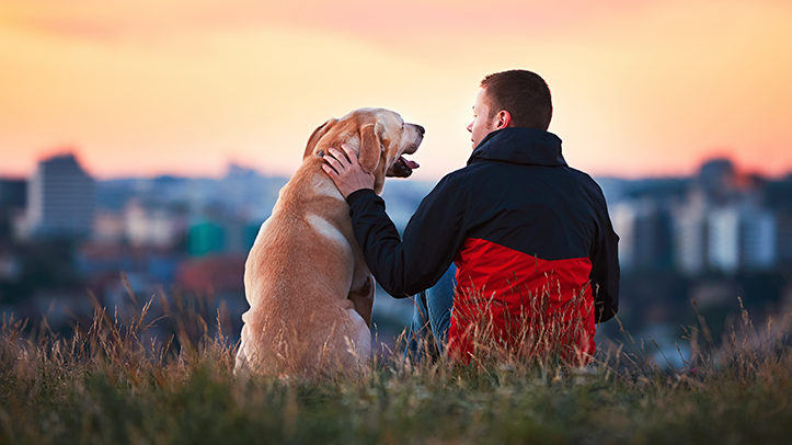 Owners still prioritise pets despite financial squeeze, but some are struggling