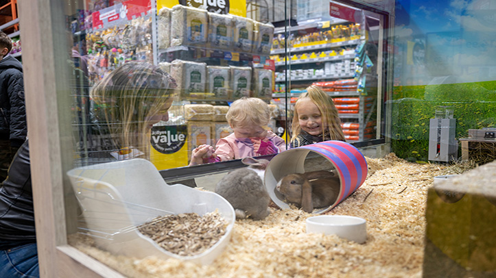 Jollyes pauses sales of rabbits over Easter