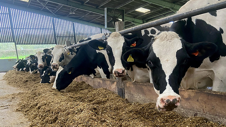 Concerns that farming is being made the ‘sustainability scapegoat’