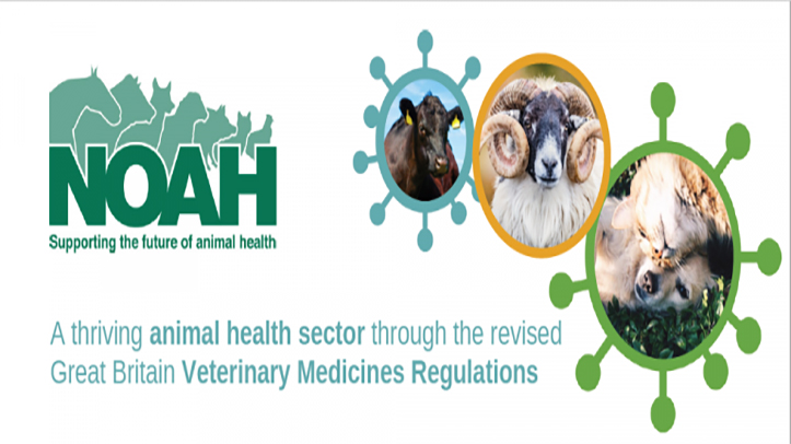 NOAH hosts Parliamentary Drop In to discuss Veterinary Medicines Regulations Review