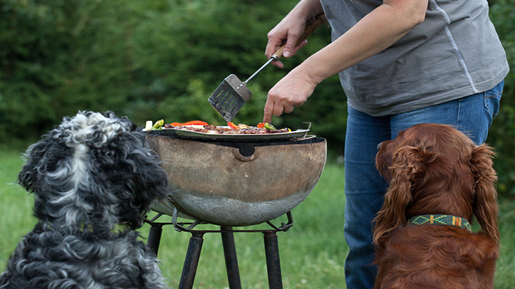 PDSA urges pet owners to keep pets away from BBQs and leftovers
