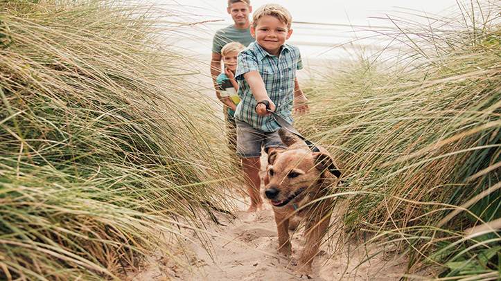 Taking dogs abroad this summer
