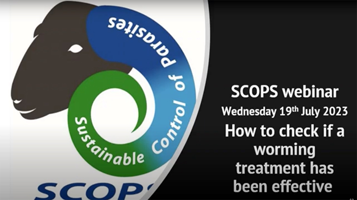Expert advice shared via SCOPS online question and answer session