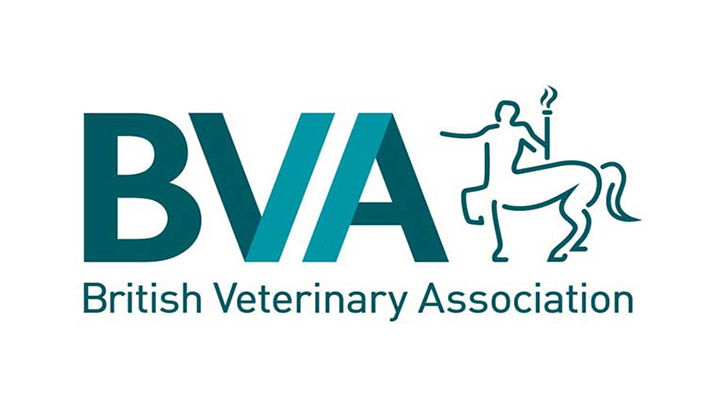 BVA launches new policy position on diet choices for cats and dogs