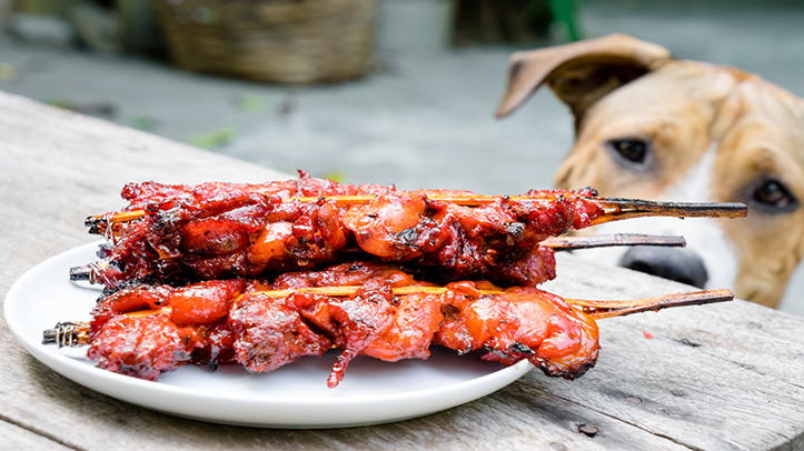 Vets report an increase in barbecue-related injuries