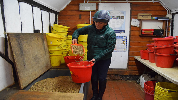 Horse feed brand joins BETA’s Summer of Safety Campaign