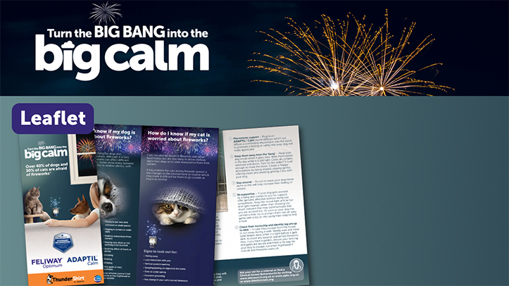 Ceva launches fireworks marketing support