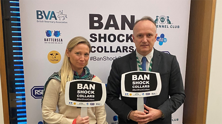Vets call for Government to deliver on its commitment to ban cruel electric shock collars