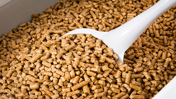 Bedmax launches British-made sustainable cat litter