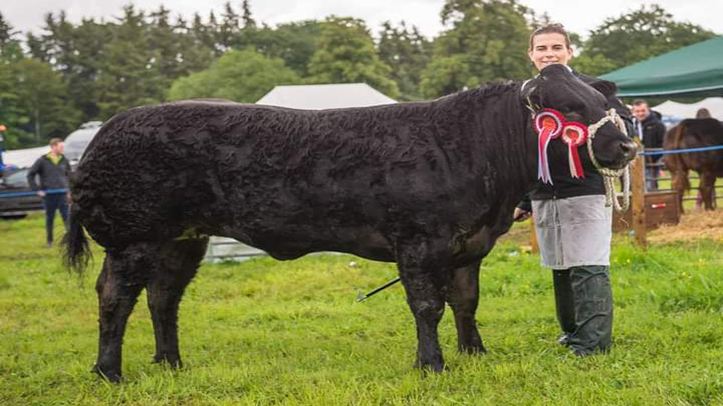 Mole Valley Farmers urge the use of gloves at lambing to prevent sepsis risk