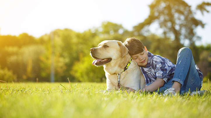 National Pet Month 2024: Challenging times, practical support