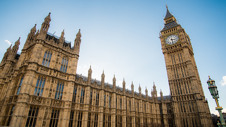 Government brings in Veterinary Medicines Regulations legislation