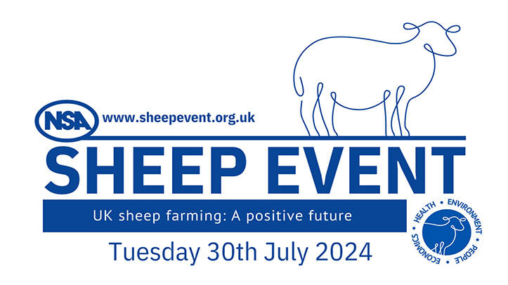 A sustainable sheep sector to be showcased at NSA flagship summer event