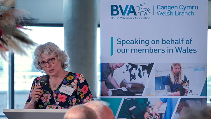 BVA continues to call for vet practice regulation in Wales