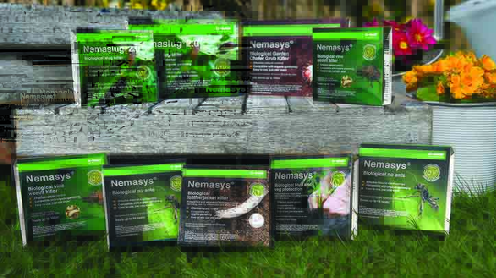 BASF encourages SQPs to educate retail customers on nematodes