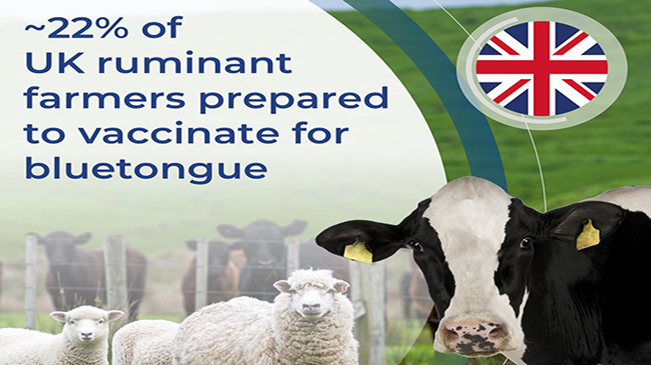 UK farmer intent on Bluetongue vaccine use revealed