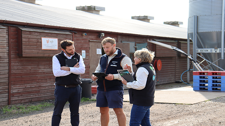 Scrupulous biosecurity a must in wake of new AI cases