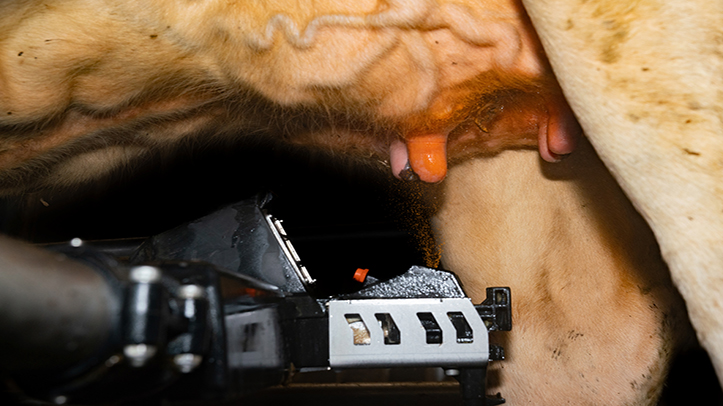 Pioneering barrier teat disinfectant for automated spray systems
